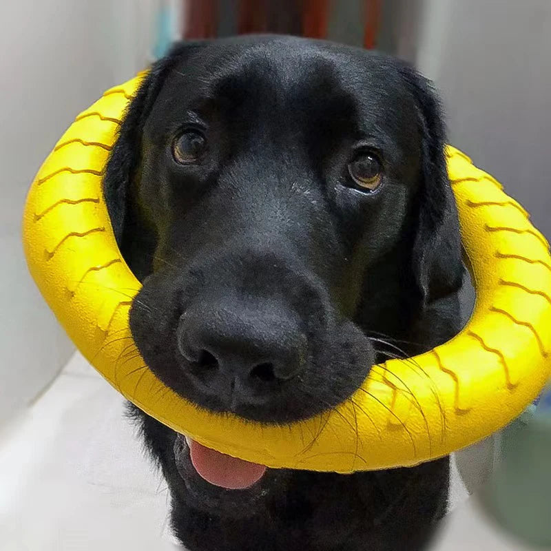 Brinquedos de anel para cães