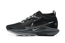 Nike Pegasus Trail 5