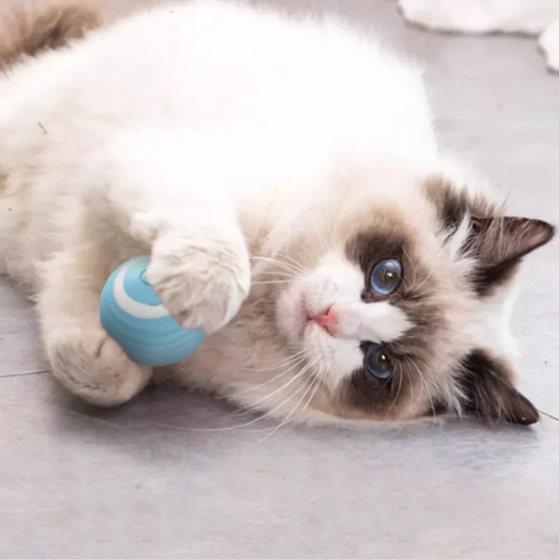 Bola de brinquedo inteligente para gatos
