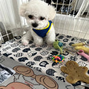 Cama elevada para gatos, cama de acampamento para cães