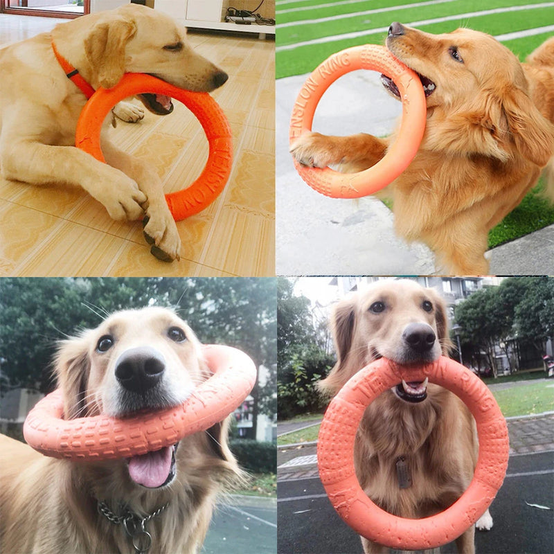Brinquedos de anel para cães