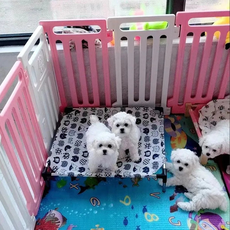 Cama elevada para gatos, cama de acampamento para cães
