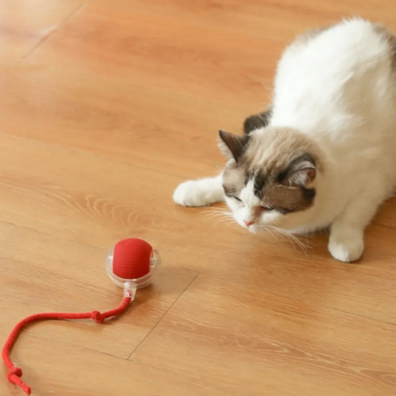 Bola de brinquedo inteligente para gatos